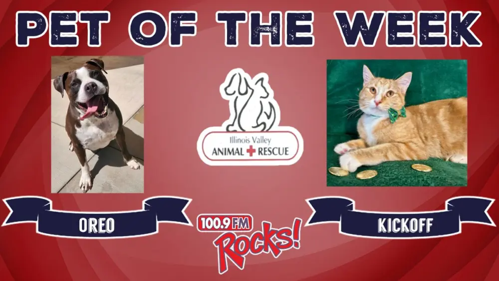 phonto-2026-03-16t073807-042