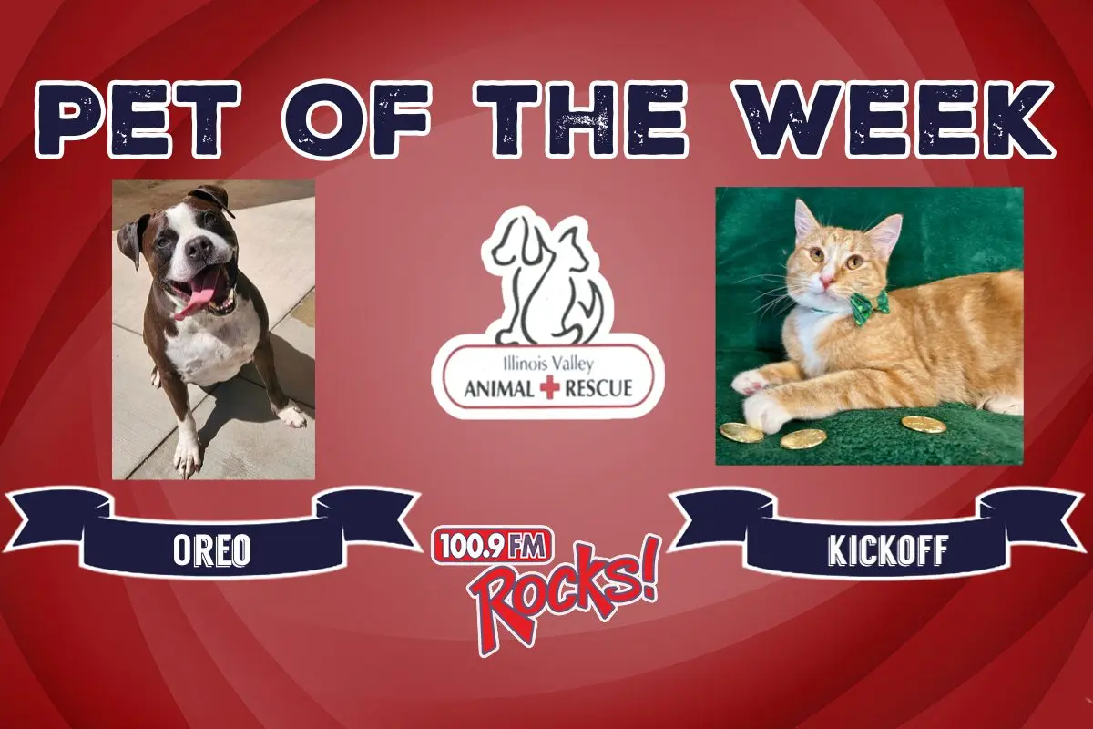 phonto-2026-03-16t073807-042