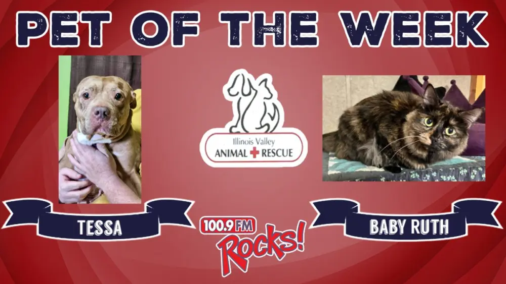 phonto-2026-03-30t071151-913