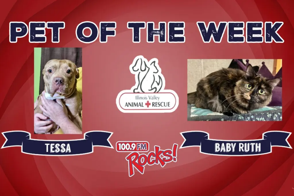 phonto-2026-03-30t071151-913