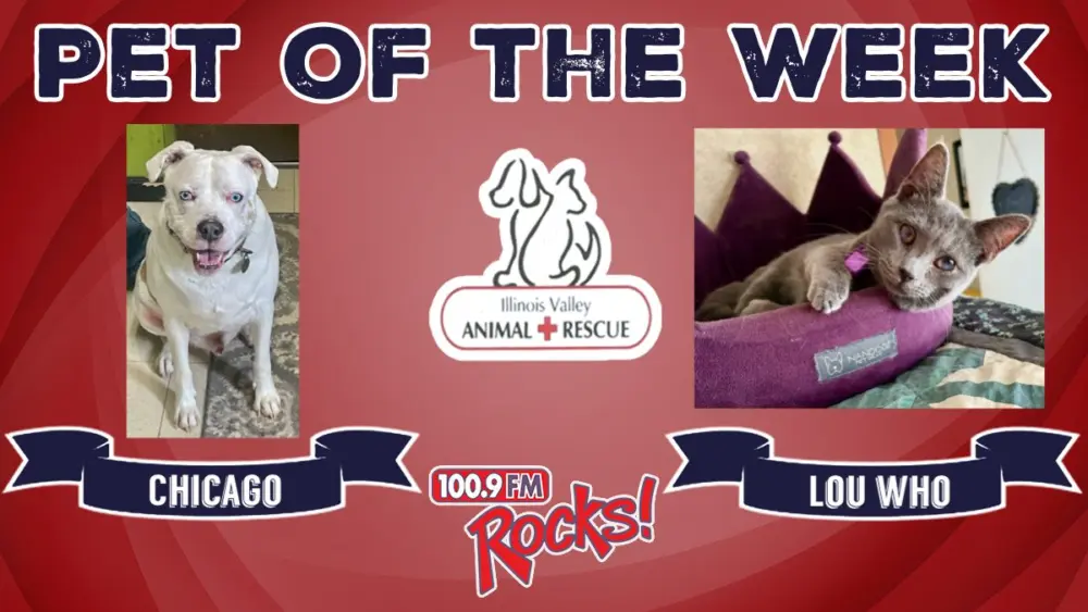 phonto-2026-04-13t075724-182