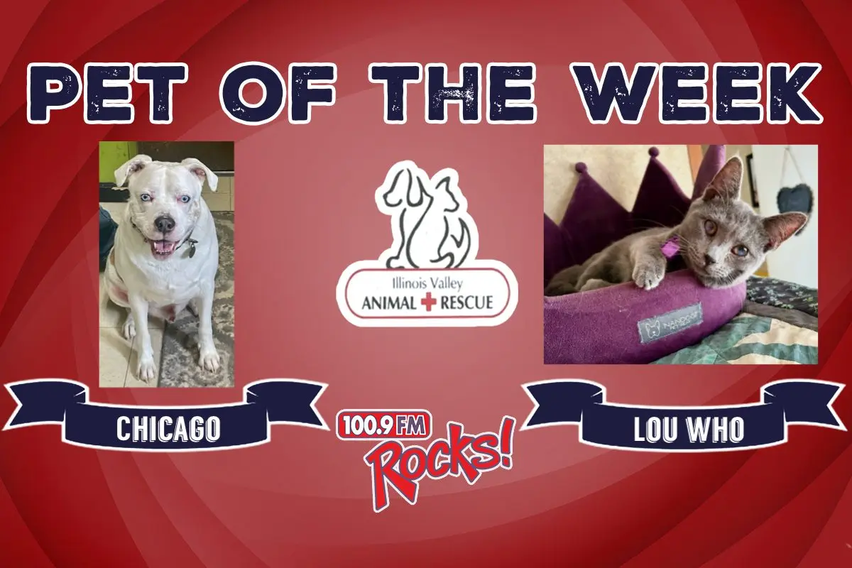 phonto-2026-04-13t075724-182