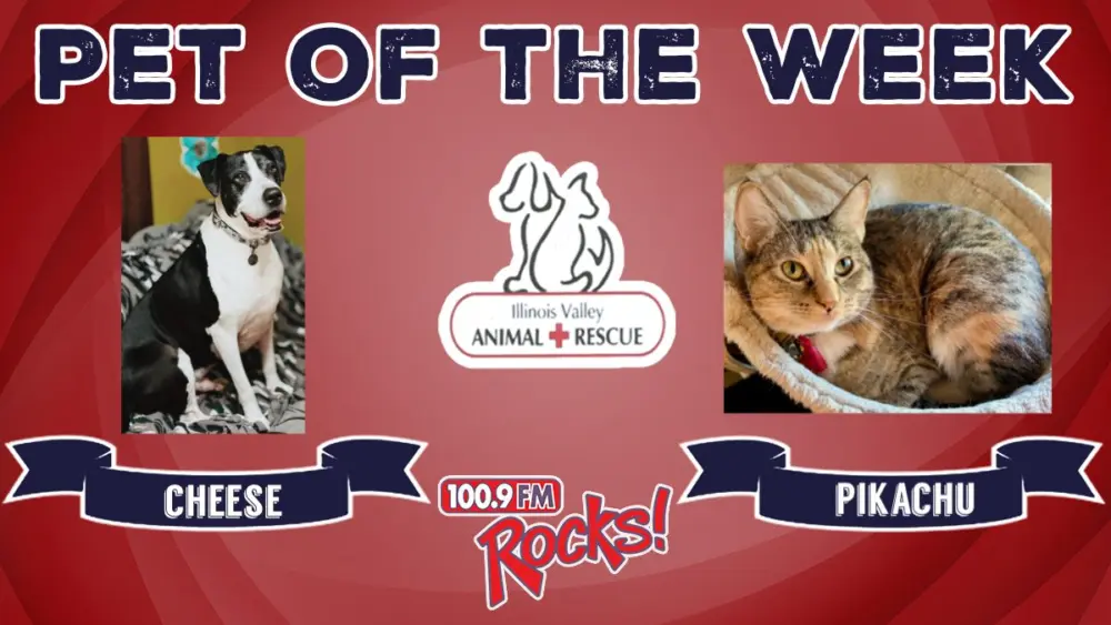 phonto-2026-04-27t070716-496