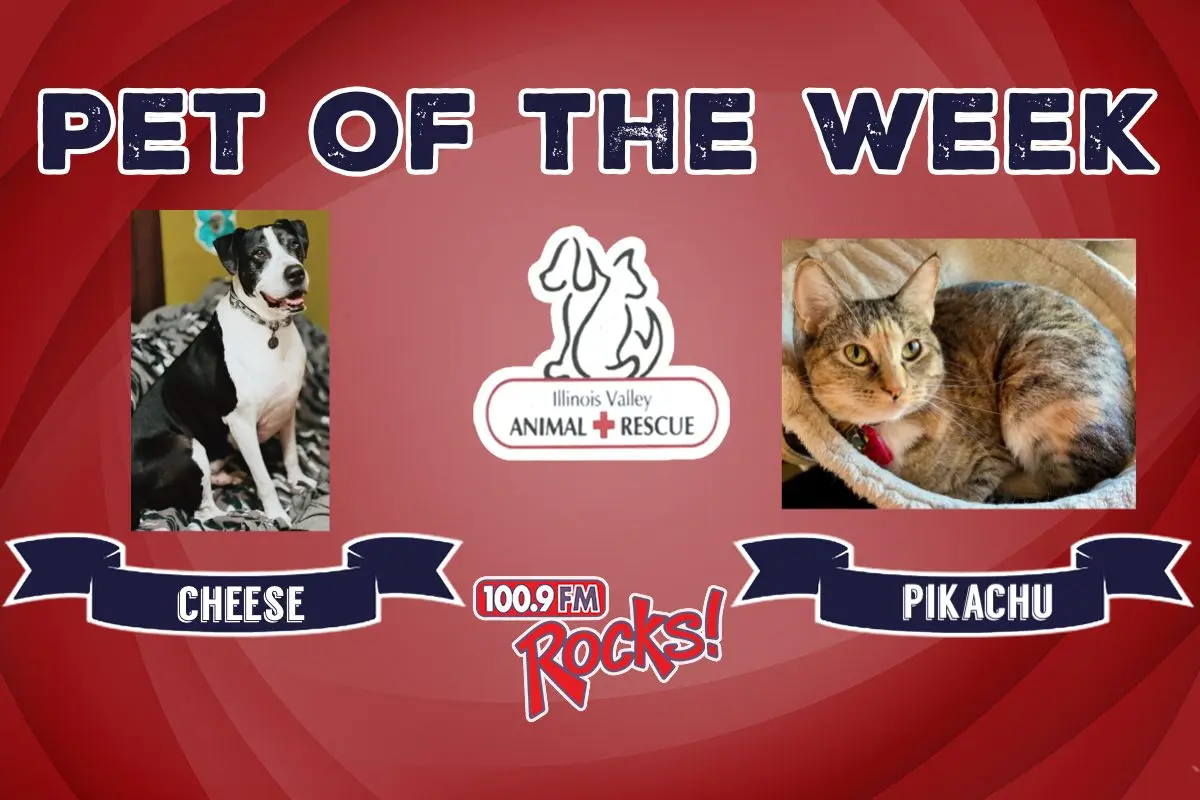 phonto-2026-04-27t070716-496