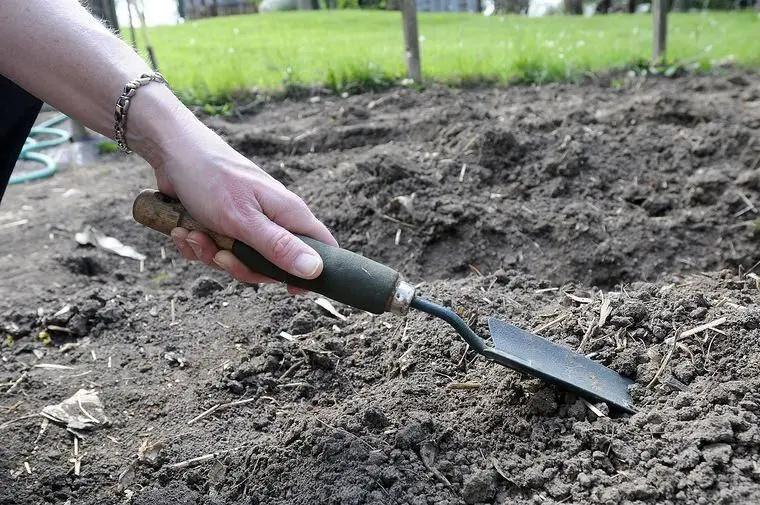 jesepiq2vzpy5ddpdk6hro3i2e