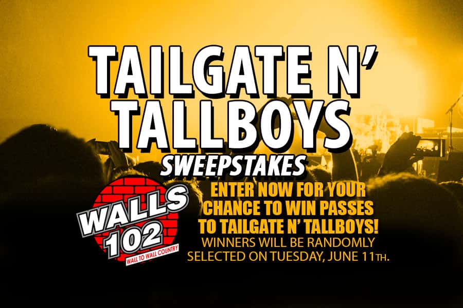 summer-concert-tailgate