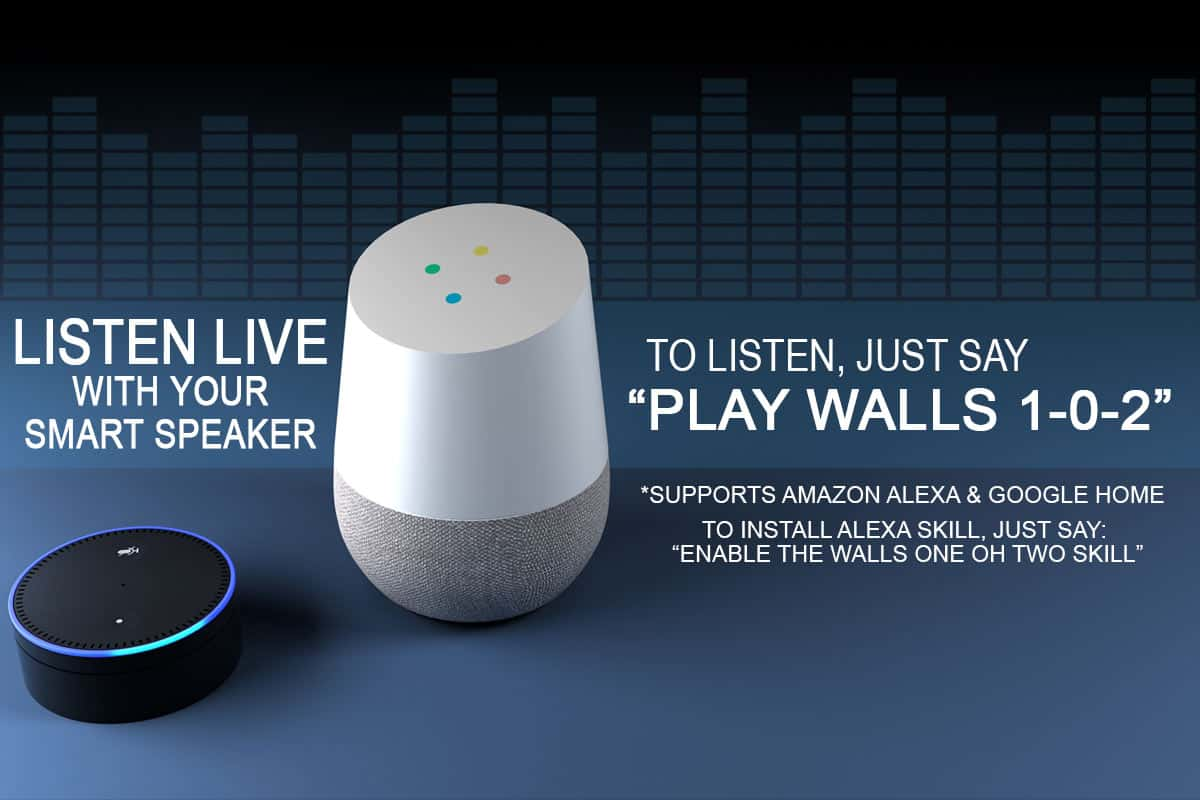 Instalar google home en alexa hot sale