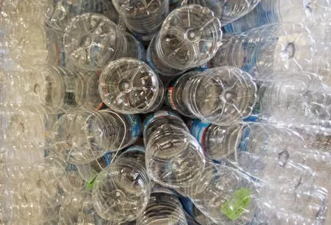 p2wxjd277g6pnmupfnvwwaymmu509704