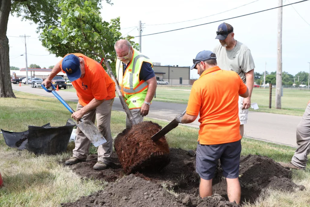 d2e4zvyaajhdhbp5utywbq53ha673788