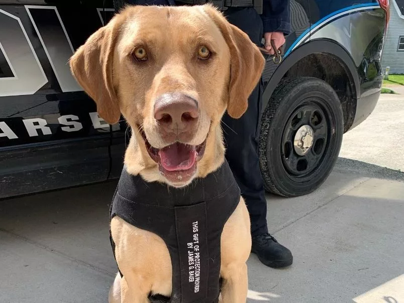 36wgwphp4zbabhp7y62zlcj2zi337431