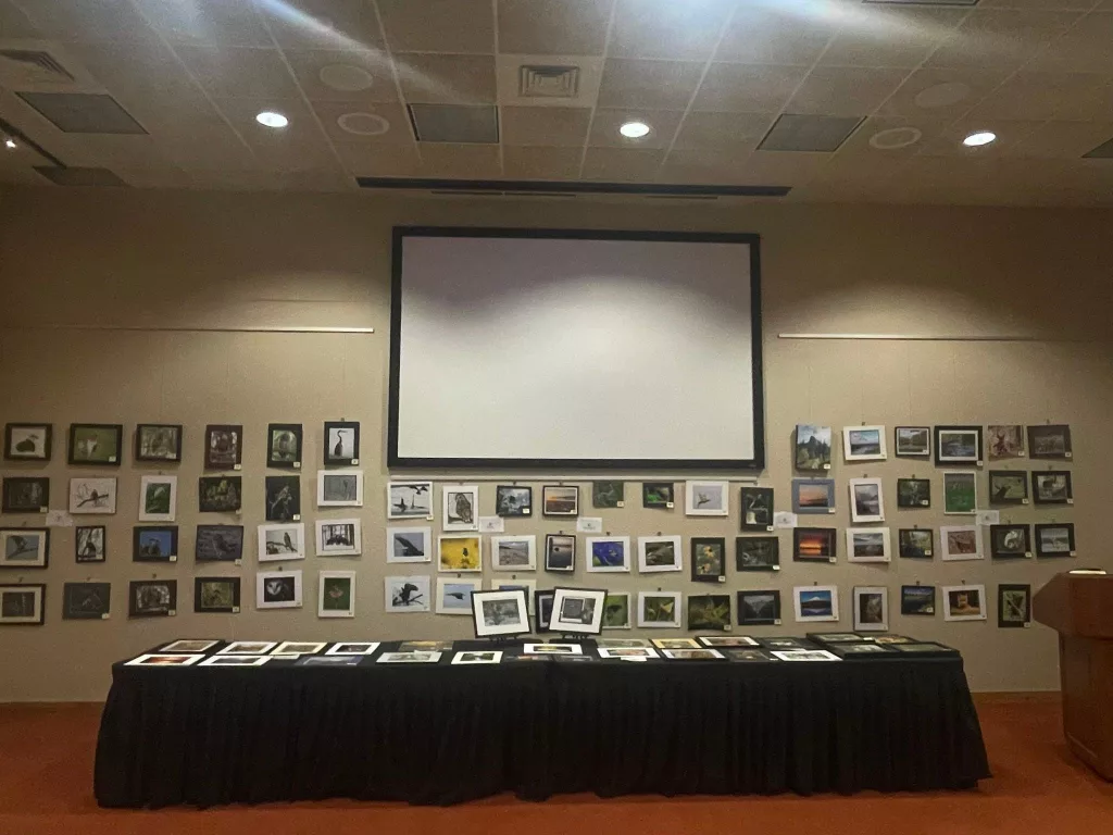 okglcp43hfboxoyqrzavps72f4436244