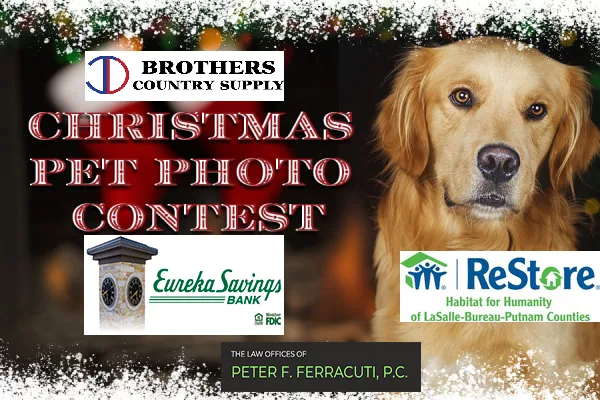 2024-christmas-pet-photo-contest-image-d