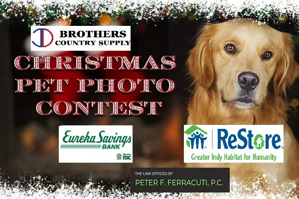 2024-christmas-pet-photo-contest-image