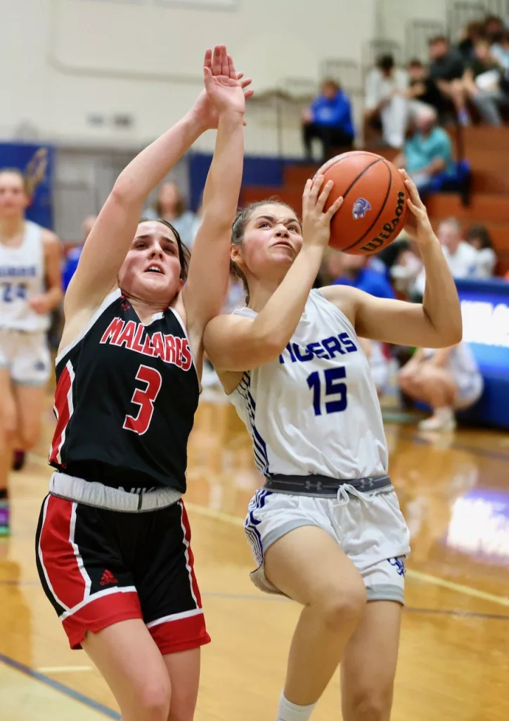 nuwyibylu5gqfnwzsna3eouui4801178