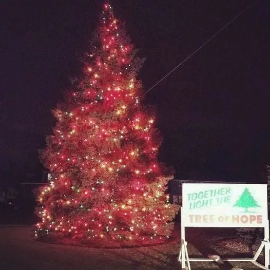 maqf2zzzs5ar3p2znwe3hnmg2a383229