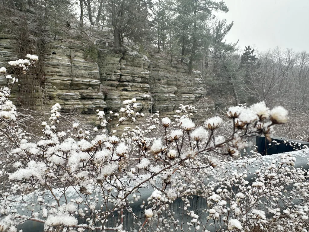 bpg3jvltlvfsrfkzz2lenoop2q638337