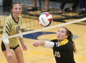 qp6c65z3p5f2tasrz5fnm3wghe