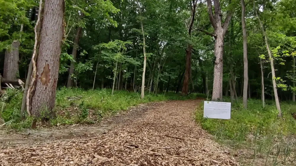 yy5a6rievncu5ofhayegey752u