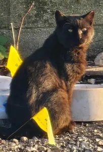 2iwmid6xpnew5imojyc7whik7y