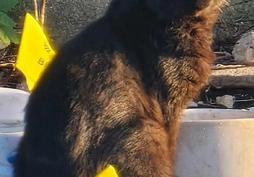 2iwmid6xpnew5imojyc7whik7y