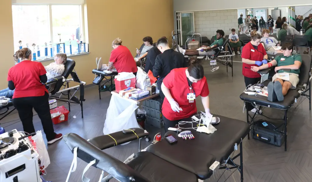 nkl6yizb5vg63kauvfbdx6c25a-2