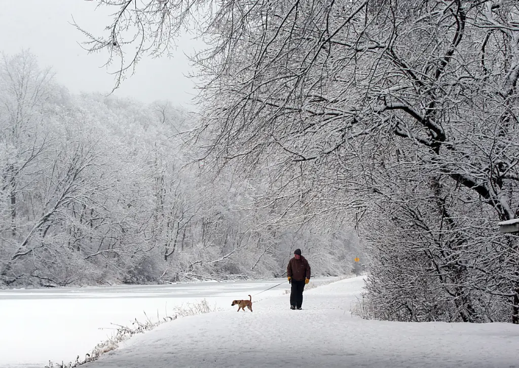 e2bqmt7hqbcppfjyqnvah5ot2q-2