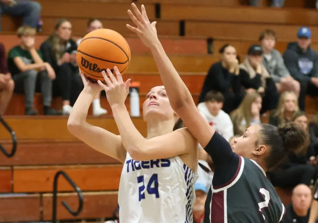 Princeton senior Keighley Davis and Bureau Valley junior Libby Endress were named Illinois Basketball Coaches Association All State.Davis earned special mention honors in Class 2A. Davis averaged 17.9 points, 7.3 rebounds, 4.5 steals and 3.1 assists in leading the Tigresses to a 21-9 record.Endress was a special mention pick in Class 1A after averaging 14.3 points, 5 rebounds, 3.5 steals and 3.3 assists per game. She helped the Storm to a 23-10 record and a regional final appearance.Area players earn All-Three Rivers EastHall senior Braden Curran and Mendota sophomore Cole Tillman were unanimously selected to the All-Three Rivers Conference East Division team.Newman seniors Garret Matznick and George Jungerman also were unanimous picks, while Erie-Prophetstown senior Connor Keegan and Kewanee sophomore Chris Crowe rounded out the first team.Co-conference champion Mendota landed seniors Aiden Tillman, Dane Doyle and Oliver Munoz on the second team along with Princeton senior Gavin Lanham.Hall junior Noah Plym and sophomore Chace Sterling, Mendota junior Drew Becker and Princeton sophomore Jack Oester were honorable mention selections.Three area boys named All-Tri-CountyHenry-Senachwine senior Carson Rowe was voted All-Tri-County Conference first team along with Woodland’s Nolan Price, Marquette’s Alec Novotney, Midland’s Dominic Rosa and Roanoke-Benson’s Layton Harms.St. Bede senior Gino Ferrari was named to the second team, while Henry junior Landon Harbison was an honorable mention pick.Heart of Illinois announces postseason awardsFieldcrest senior Kash Klendworth was named All-Heart of Illinois Conference first team.Classmate Braden Hahn was an HOIC All-Defense first-team pick.For the girls, Fieldcrest senior Macy Gochanour was a first-team selection, senior Pru Mangan was a second-team pick and junior TeriLynn Timmerman was honorable mention. Timmerman also was named HOIC All-Defense first team.Four BV boys earn all-conferenceFour Bureau Valley boys basketball players were selected to the All-Lincoln Trail Conference team.Freshman Carson Gruber was voted first team, junior Blake Foster was named to the second team and senior Logan Philhower and junior Carter Chhim were honorable mention picks.