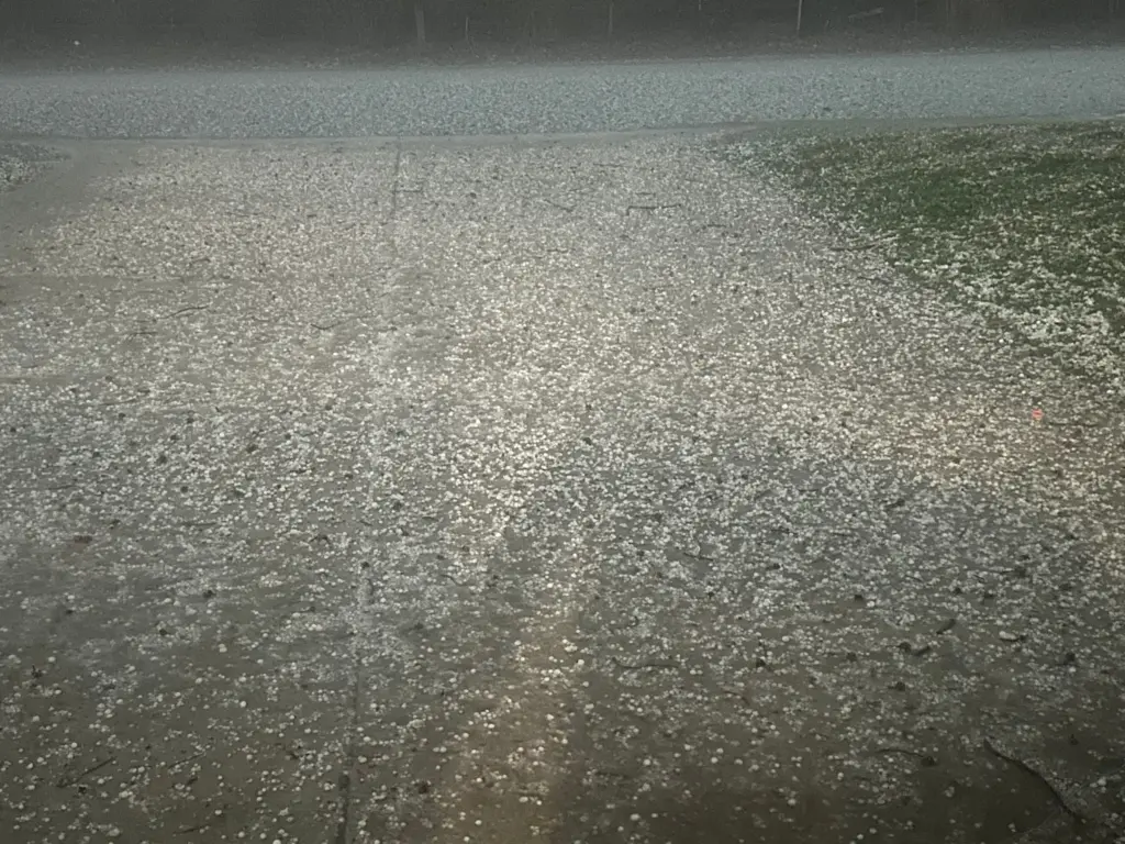 6pb2xv6jtngfzfq3zox3pgrv74