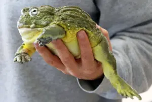 rzgfb75khcayzu3md4om6vruym543231