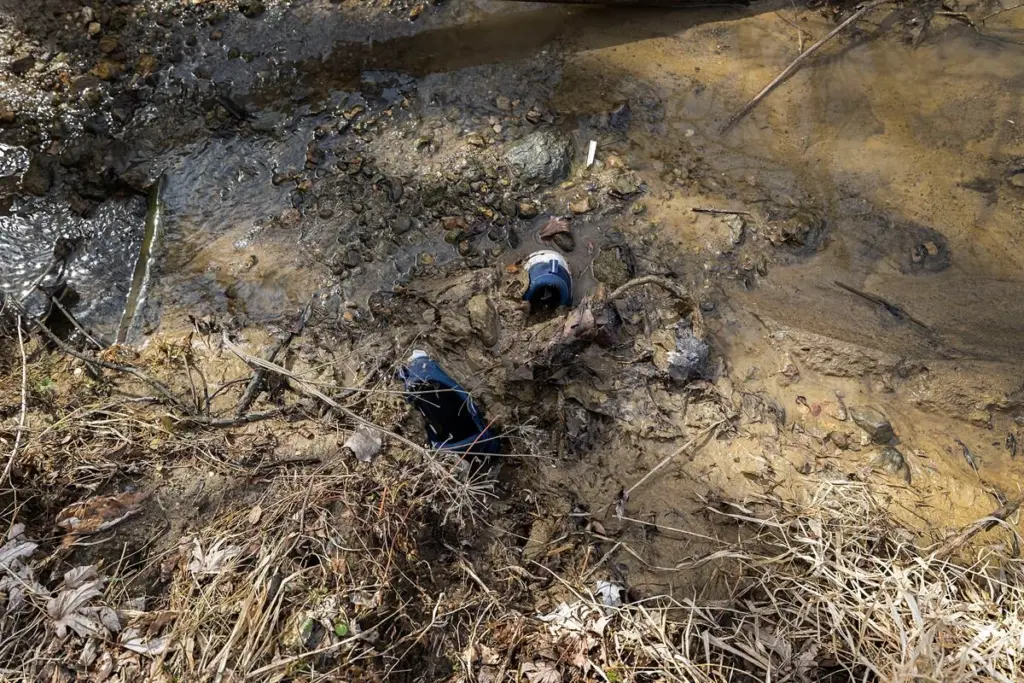 ydrqpj64s5dybdahwydw4mstou99466