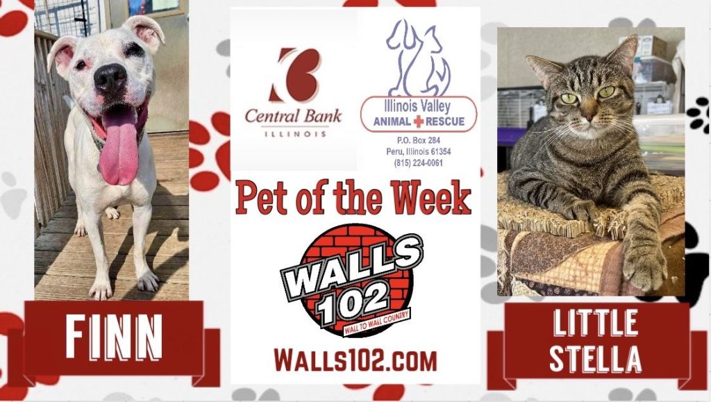 Central Bank IL Pets of the Week: Finn & Little Stella!