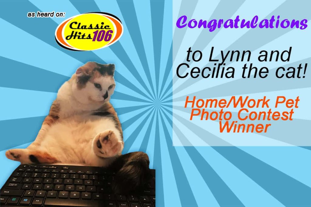homework-pet-photo-winner-landscape