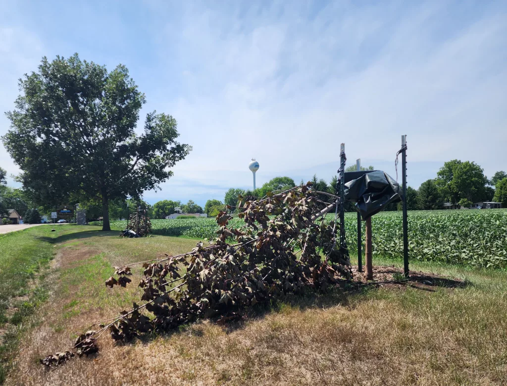 5gyoa6nmurcadbjqtqcr3nzoki748308