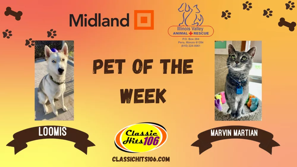 pet-of-the-week-q-hits-2