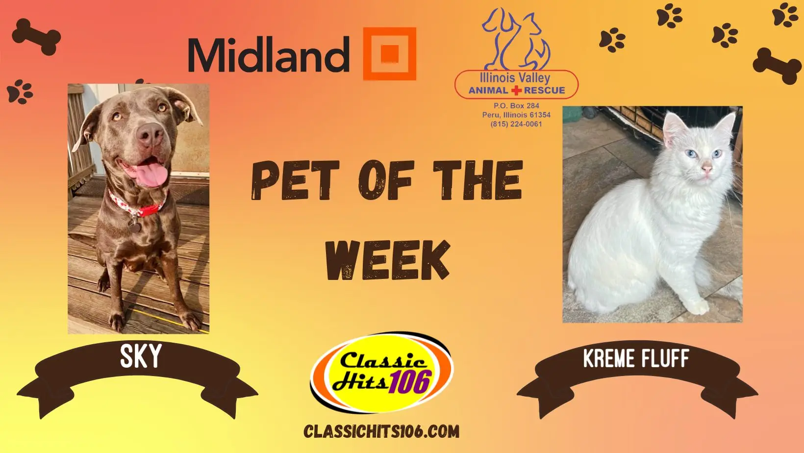 pet-of-the-week-q-hits-2-9