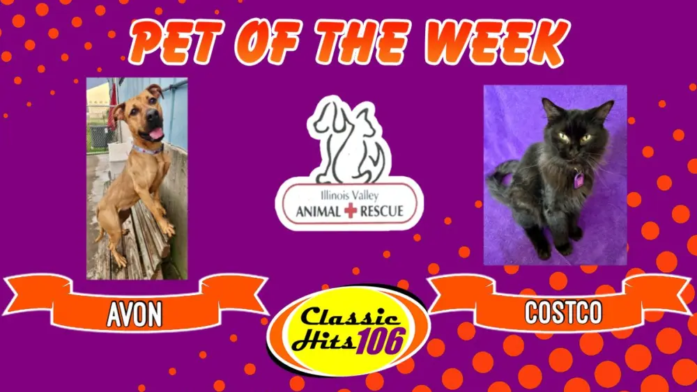 phonto-2025-10-29t061806-622