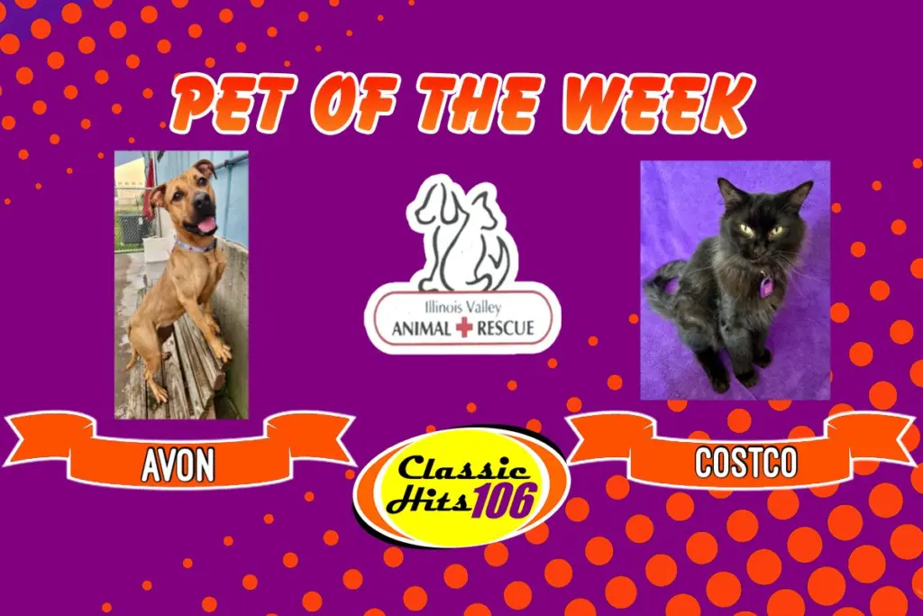 phonto-2025-10-29t061806-622