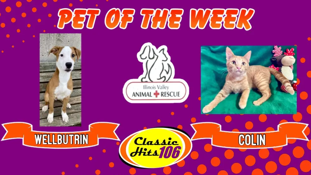 phonto-2025-11-24t065959-513