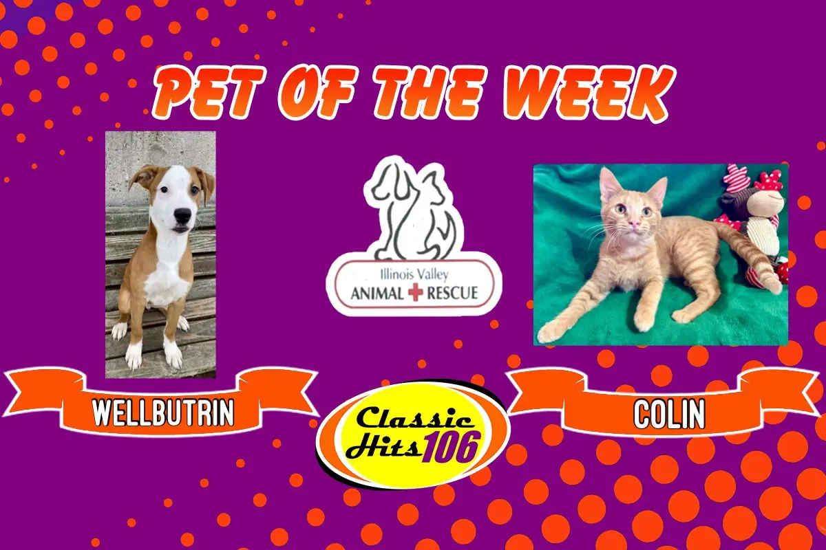 phonto-2025-11-24t065959-513