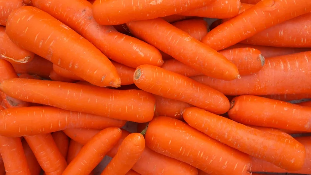 fresh carrots piled high on a market