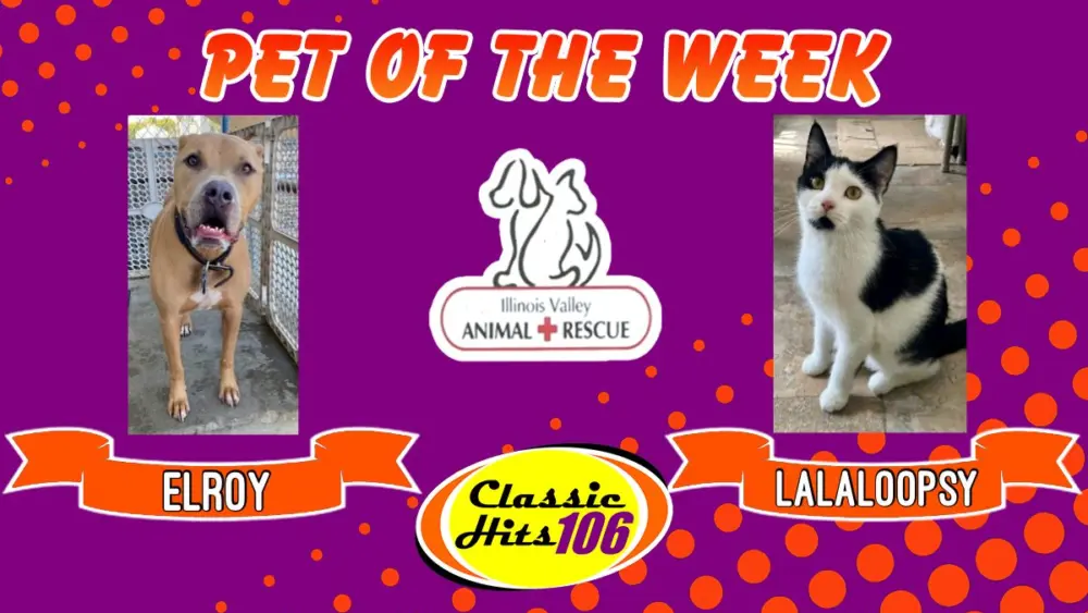 phonto-2025-12-08t073948-628