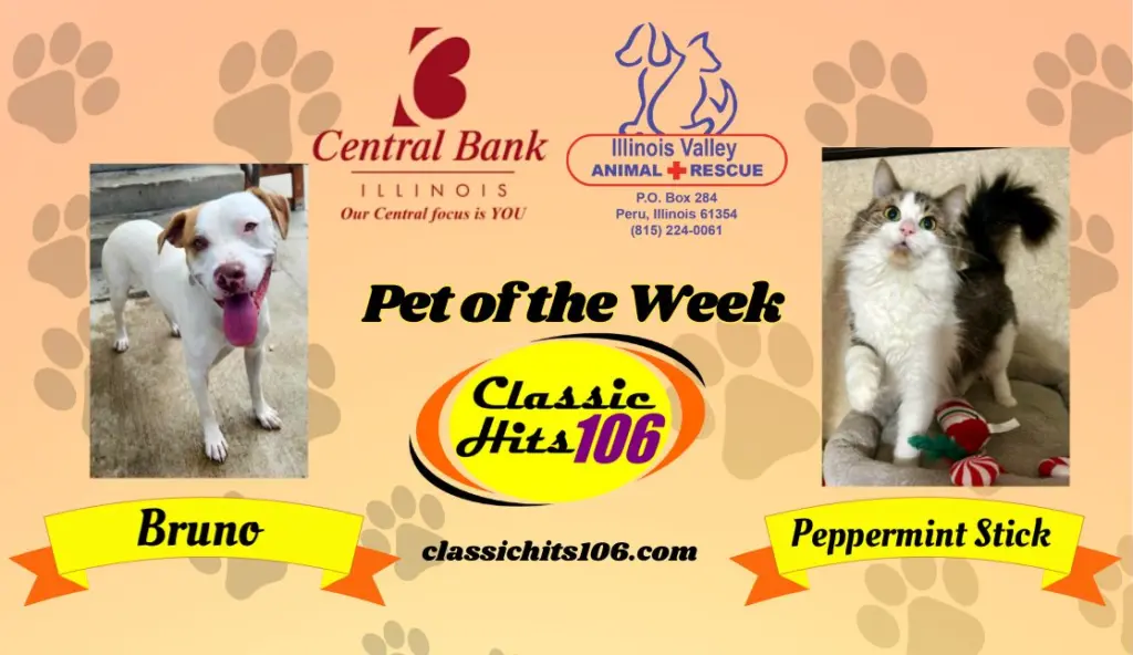 pet-of-the-week-wyys