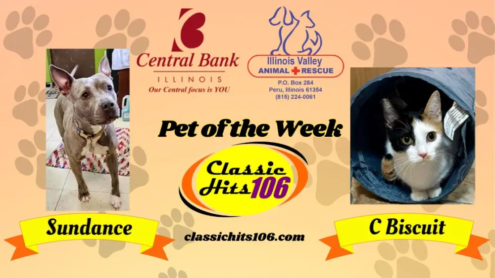 pet-of-the-week-wyys-2