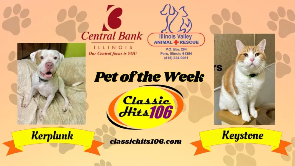 pet-of-the-week-wyys-3