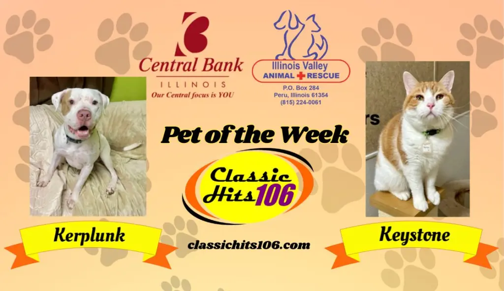 pet-of-the-week-wyys-3