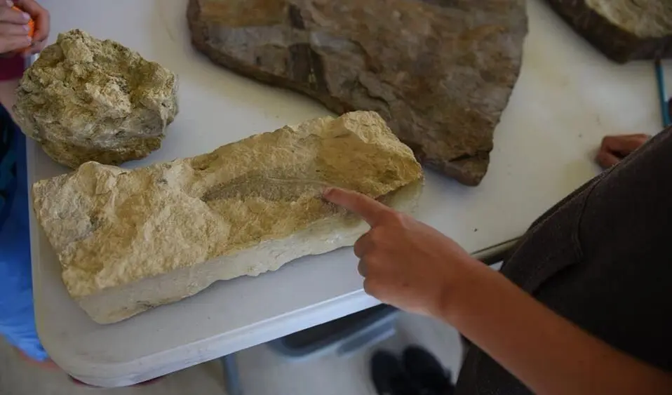 tiiuuk3nnjkg7hfegl6yidvz5u