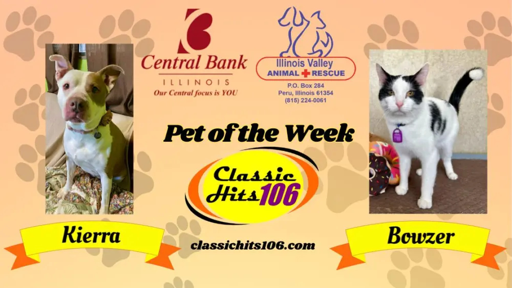 pet-of-the-week-wyys-4