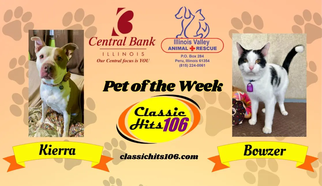 pet-of-the-week-wyys-4