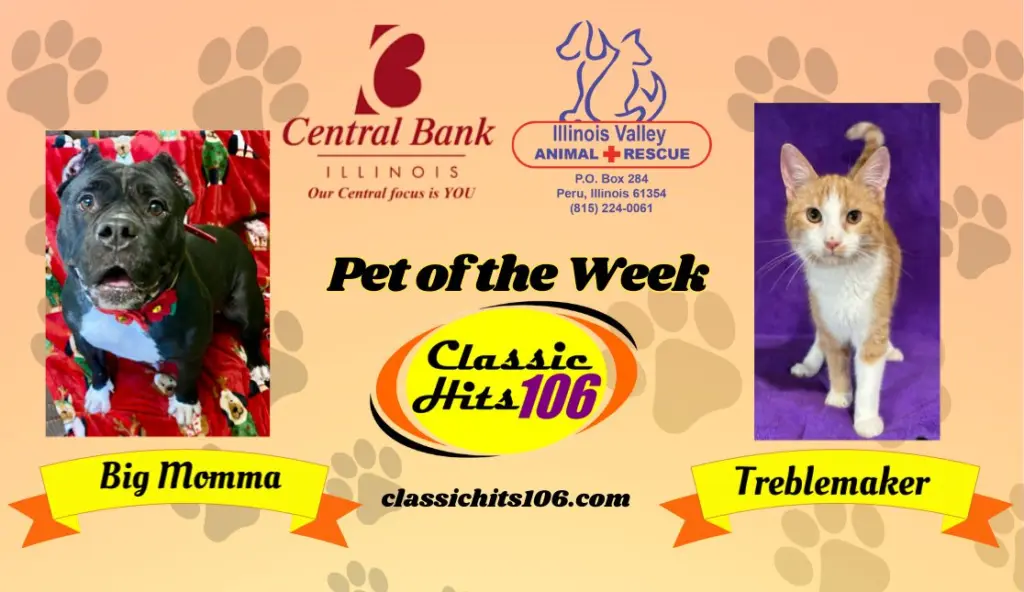 pet-of-the-week-wyys-5