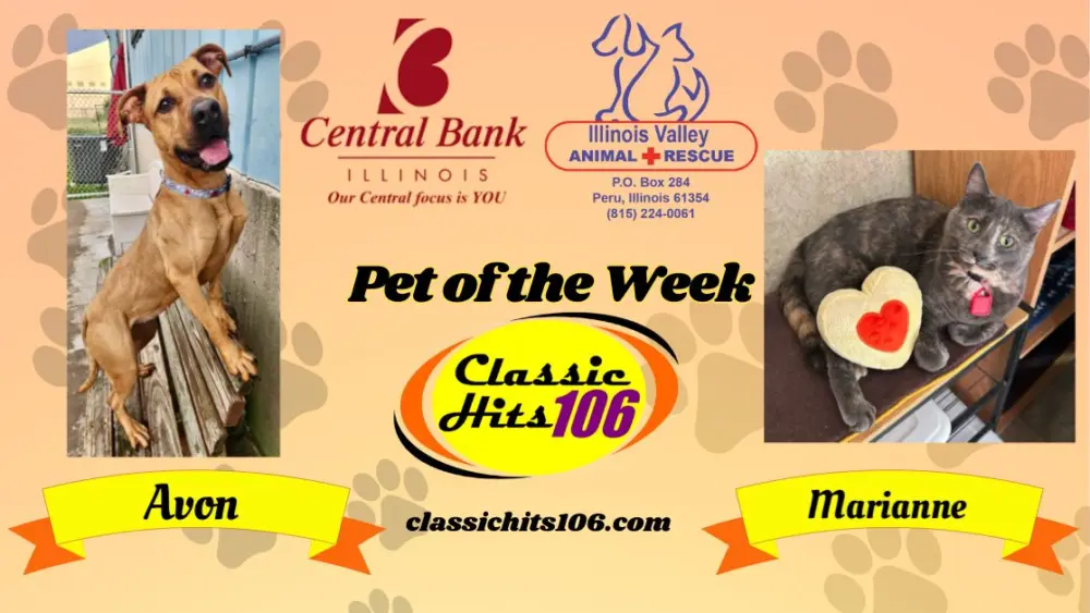 pet-of-the-week-wyys-6